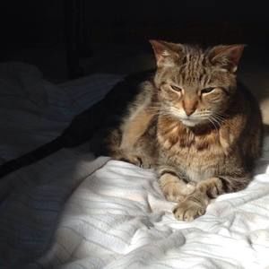 Meet your Posher, Anita